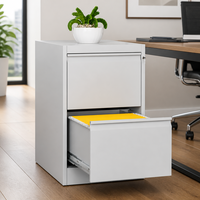 Armoire de classement en acier à 2 tiroirs pour dossiers A4 et FC, design moderne, mobilier de rangement métallique à 2 tiroirs pour bureau, école, hôpital
