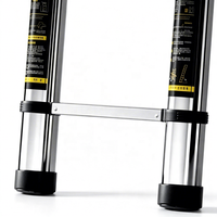 Échelle télescopique droite en acier inoxydable de 3,9 m, robuste, antirouille et antidérapante, pour toiture – Commande d'échantillon disponible