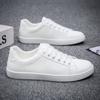 2025 printemps nouvelle mode chaussures décontractées pour hommes Version coréenne blanc simple conseil maille élégant chaussures de marche pour les jeunes étudiants