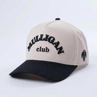 OEM Hoge Kwaliteit 5 Panel Snapback Caps Groothandel Kleurcombinaties Op Maat 5 Panel Katoenen Borduurwerk Baseball Cap