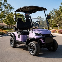 Carrinho de Golfe Elétrico Jetty Beach para 2, 4 ou 6 Passageiros, Motor AC 72V 7.5KW, Bateria de Lítio, para Equipe de Cais e Transporte de Cesto de Caranguejos