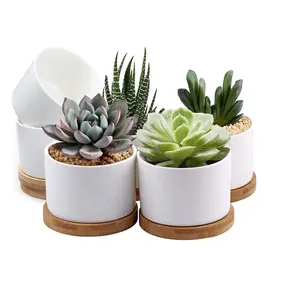 White Ceramic Pots Indoor Home Decoration Succulent Flower Pot Planter With Bamboo Tray