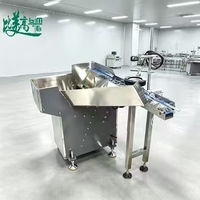 Machine de marquage laser à fibres à alimentation automatique, avec association et tri des données par vision CCD pour le métal
