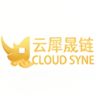 Cloudsyne Smartchain Tech Limited logo