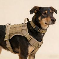 Conjunto de Arnés, Collar y Correa de Nailon para Perro, Diseño Ajustable para Perros Pequeños, Medianos y Grandes, Cómodo para Paseos Diarios