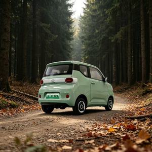 Mini EV Yuantong EV3 L7e Omologato per la Circolazione Stradale con Layout di Controllo Semplificato, Cruscotto Semplice, Ricarica Rapida, Auto Autonoma per Montagna - Product Image 2