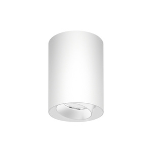 Chất lượng cao 10W 20W 30W nhôm <span class=keywords><strong>COB</strong></span> <span class=keywords><strong>LED</strong></span> <span class=keywords><strong>Downlight</strong></span> hiện đại bề mặt tròn gắn trần với IP54 đánh giá - Product Image 2