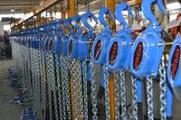 Palans à chaîne manuels stables compatibles OEM/ODM