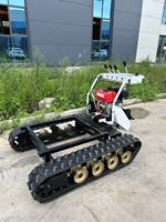 Heiß begehrter Mini-Dumper mit hydraulischer Selbstladung, 500 kg Schaufel, Raupenlader für den Bergbau, Kompaktlader, Frontlader mit Changchai Motor 1