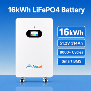 แบตเตอรี่ LiFePO4 แบบติดผนัง 5kWh 10kWh 16kWh 51.2V สำหรับเก็บพลังงานภายในบ้านสำหรับระบบโซลาร์เซลล์ พร้อมการสื่อสารผ่าน CAN รองรับ OEM ODM - Product Image 2