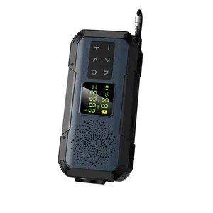 Haut-parleurs Pa professionnels Global am fm radio numérique portable Ipx67 étanche sans fil camping lumière main cank bt haut-parleur