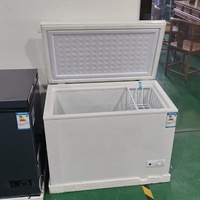 Petit Congélateur Coffre et Réfrigérateur de 128 L
