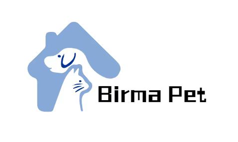 Shenzhen Birma Technology Co., Ltd. logo
