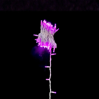 Guirlande lumineuse LED violette 10M, câble en caoutchouc blanc, perles remplis de colle, haute luminosité, étanche IP67, intensité variable, pour extérieur et jardin