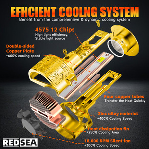 Redsea Tùy chỉnh công suất cao điều khiển từ xa Bóng đèn <span class=keywords><strong>Led</strong></span> Đèn Pha ứng dụng 40000lm xe H7 H4 ứng dụng điều khiển thay đổi màu sắc <span class=keywords><strong>Led</strong></span> Đèn Pha - Product Image 5