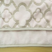 Toutes les couvertures en Chine de qualité exportée couvrent la couverture polaire en peluche couverture imperméable pour l'extérieur
