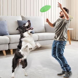 Прочный летающий диск EVA для щенков и собак, устойчивый к укусам, для занятий спортом на открытом воздухе, Интерактивная игрушка в классическом стиле - Product Image 3