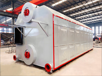 Chaudière à vapeur horizontale à double tambour SZL de 5 tonnes, alimentation automatique, à combustible bagasse, pression multiple, personnalisable