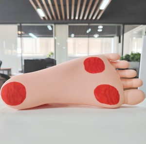 Modelo de cuidado de pie diabético De ciencia médica avanzada DARHMMY - Product Image 5