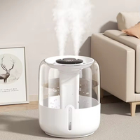 Nouveau grand volume de brouillard Nano molécules d'eau fines Double buse réapprovisionnement en eau Pure humidificateur de Purification de l'air
