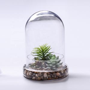 Cúpula y base de vidrio, maceta de terrario transparente de 5,9x7 pulgadas para plantas carnívoras, cactus pequeños, suculentas, Decoración de mesa - Product Image 1