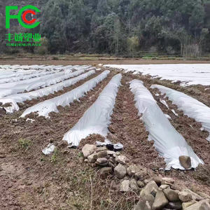 <span class=keywords><strong>Film</strong></span> <span class=keywords><strong>de</strong></span> <span class=keywords><strong>paillage</strong></span> agricole en plastique argenté <span class=keywords><strong>pour</strong></span> jardinage et agriculture, <span class=keywords><strong>film</strong></span> <span class=keywords><strong>de</strong></span> culture <span class=keywords><strong>pour</strong></span> <span class=keywords><strong>tomates</strong></span> et pommes <span class=keywords><strong>de</strong></span> terre, couverture <span class=keywords><strong>de</strong></span> sol biodégradable - Product Image 1