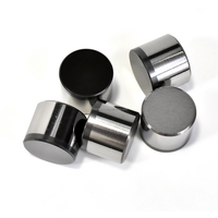 Inserto de Diamante Compacto Drillsoltek 1613 PDC para Fabricación de Brocas de Perforación de Pozos de Agua, Calidad Premium