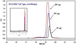 Colonna a Scambio Ionico Anionico Non Porosa HPLC per Purificazione di Proteine e Anticorpi Monoclonali - Product Image 4