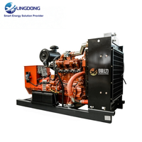 Groupe électrogène silencieux au biogaz 200 kW 250 kVA à alimentation directe usine, moteur Weichai WP12D, ATS AVR pour élevage de poulets