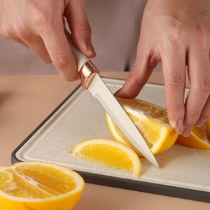 Ensemble de couteaux de cuisine haut de gamme en acier inoxydable, couteau de chef, couteau utilitaire, couteaux de cuisine avec bloc - Product Image 3