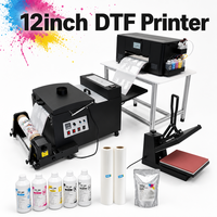 Livraison Gratuite - Imprimante Directe sur Film XM-301 A3 pour T-shirts, Sweat-shirts, Tabliers, Chapeaux et Impression par Transfert Thermique sur Tissu