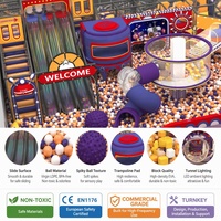 Équipement de terrain de jeux intérieur personnalisé, thème quatre toboggans parallèles, toboggan tubulaire violet, tunnel néon, trampoline, blocs de construction