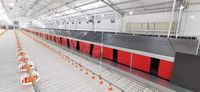 2023 penjualan laris kotak bersarang ayam sepenuhnya otomatis untuk bertelur lapisan peternakan ayam untuk peternakan peternak
