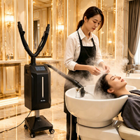 Appareil de vapeur professionnel pour salon, kit de soin vapeur, marque privée Spa, diffuseur d'arômes pour produits capillaires en salon