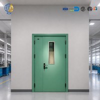 Porte double moderne en acier avec panneau de vision pour immeuble de bureaux, usine, usage commercial