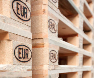 Blocs de palettes en bois compressé (palette euro) - Product Image 6