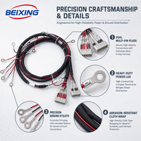 Harnais de câblage complet personnalisé BeiXing avec âme en cuivre et isolation PVC/Nylon, indice de protection IP67, pour automobiles et motocyclettes