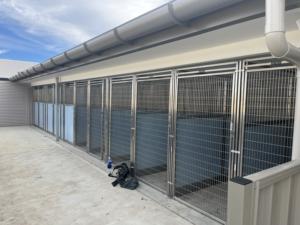 กรงสุนัขหลายช่อง PVC/HDPE สำหรับดูแลสัตว์เลี้ยงในคลินิกสัตวแพทย์ - Product Image 4