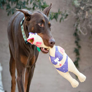 Squawkers büyükanne hippi civciv büyük interaktif köpek oyuncak lateks kauçuk tavuk topları - Product Image 6