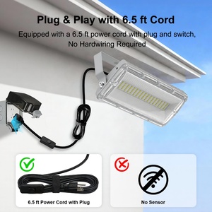 Projecteur LED extérieur 50W avec prise, étanche IP67, protection contre les surtensions 6KV, éclairage de travail pour cour, pelouse, jardin - Product Image 2