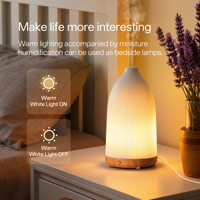 Diffuseur d'huiles essentielles aromatiques mini 80 ml personnalisé avec logo, humidificateur de bureau à brume froide avec lumière chaude et arrêt automatique, vente en gros