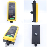 Interruptor de control remoto inalámbrico para grúa, Radio industrial resistente al agua, servicio garantizado, inteligente, a prueba de agua