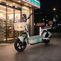 Vélo électrique portable compact 14 pouces 48V 350W pour trajets urbains, vélo électrique à double siège avec cadre bas