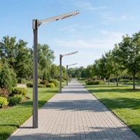 Lampe solaire de rue tout-en-un, certifiée IP65, 6800 lumens, silicium monocristallin, 40W, avec construction en alliage d'aluminium