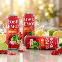 Fournisseur de boissons gazeuses en conserve certifiées HACCP ISO, conception de saveurs, traitement, service OEM ODM