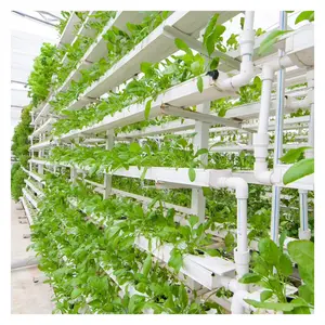 Square PVC Hydroponics Pipe hydroponic grow system Manufacturer for Greenhouse and Farming