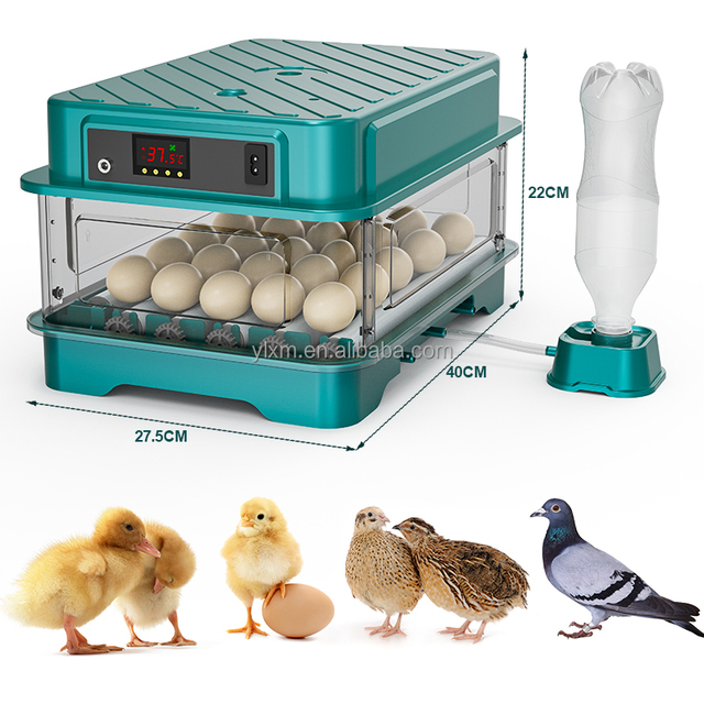 Automatic Dual Power 12/24/36 Eggs Incubator for Home Farm Use Chicken Broiler Pigeon Duck Egg Incubator