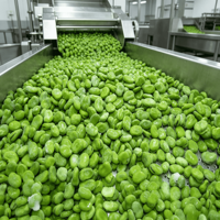 Fèves entières IQF certifiées de haute qualité, légumes entiers, prix compétitif, quantité en vrac, vente en gros