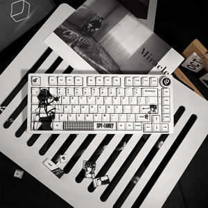 XVX Keycaps <span class=keywords><strong>SPY</strong></span> <span class=keywords><strong>FAMILY</strong></span> Cherry Profile Jeu de touches de clavier mécanique à 5 faces Dye-Sub PBT (134 touches) - Product Image 1
