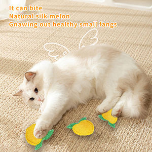 Jouet pour chat en forme de gourde éponge, style dessin animé pêche, pour le nettoyage des dents, l'entraînement et le plaisir autonome apaisant, fournitures naturelles pour animaux de compagnie - Product Image 6